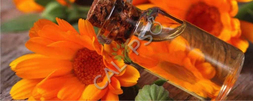 Pure Marigold Absolute Aceite